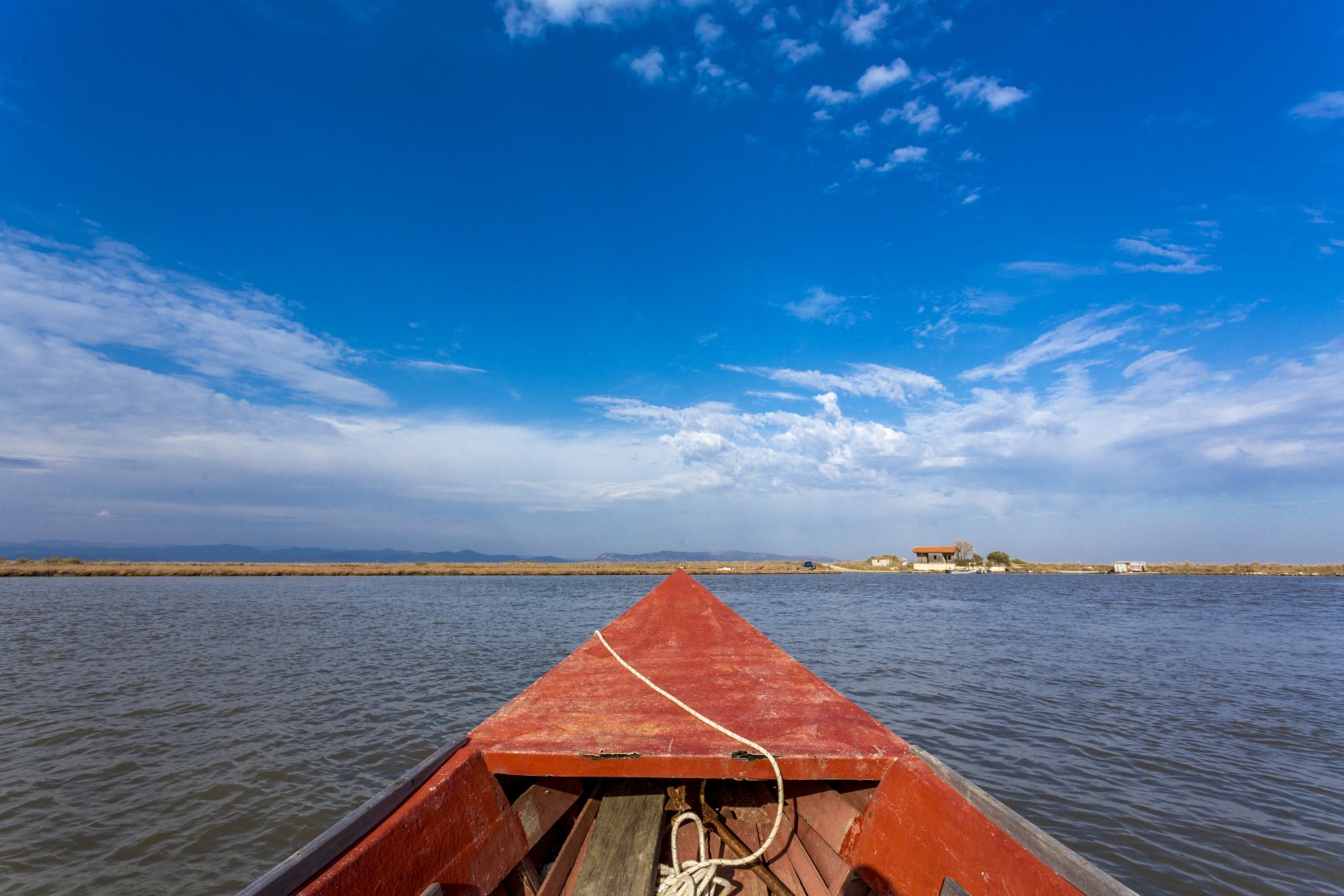 background-image